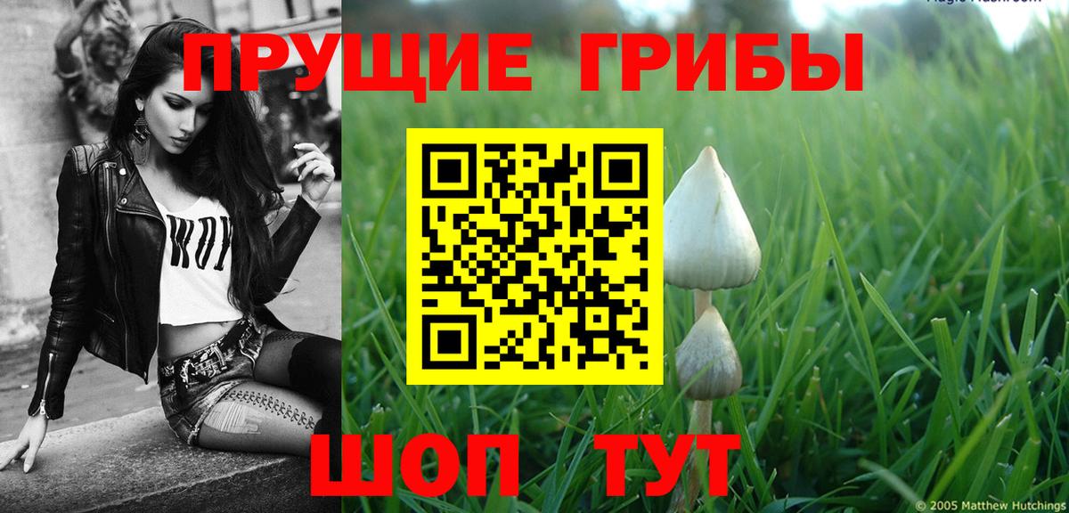 Майский  Галлюциногенные грибы Psilocybine cubensis  Псилоцибиновые грибы Psilocybe  Вход с VPN 